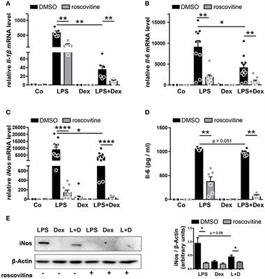 Cdk5 Deletion Enhances the Anti-inflammatory Potential of GC-Mediated GR Activation During Inflammation